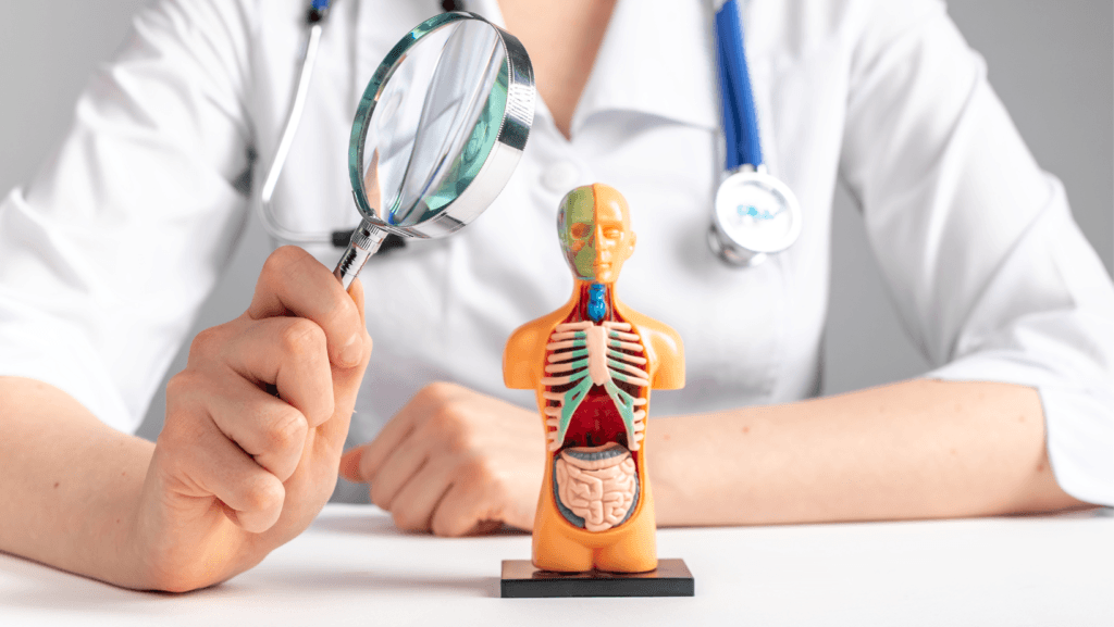 internal medicine